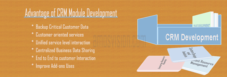 crm module development services